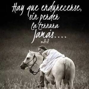 Meet your Posher, Alejandra